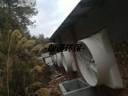 連城縣全封閉豬舍的通風(fēng)降溫項(xiàng)目(正邦集團(tuán))